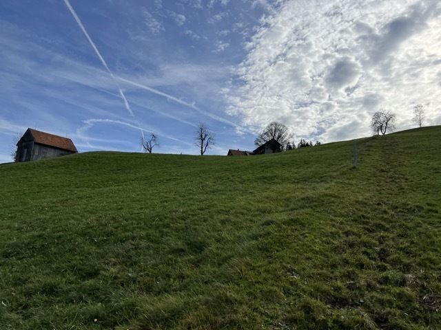 Sonnenbaden im Grünen