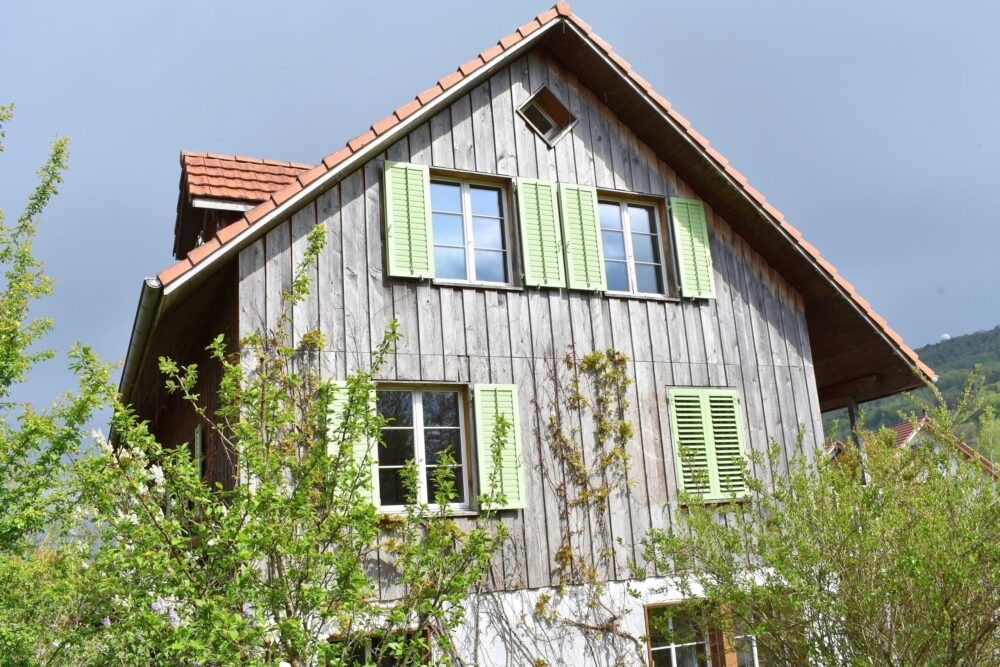 Zwischen Stadt und Grün