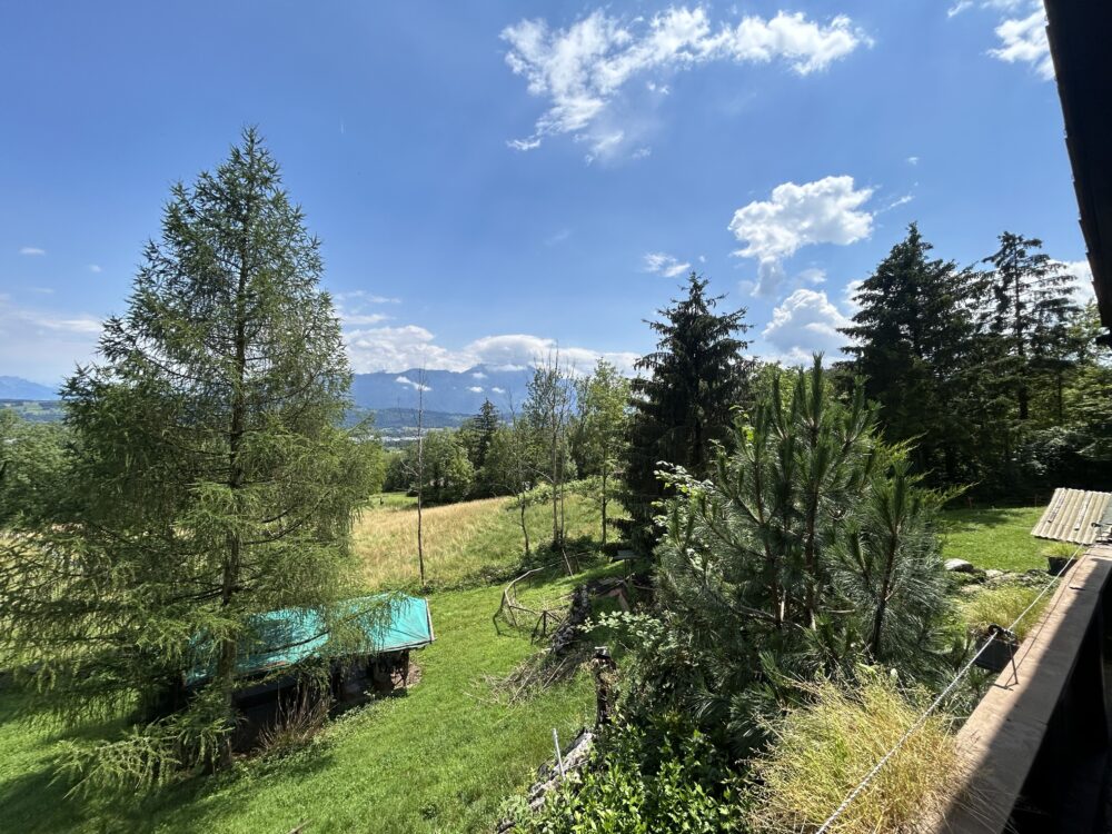 Ausblick für Könige