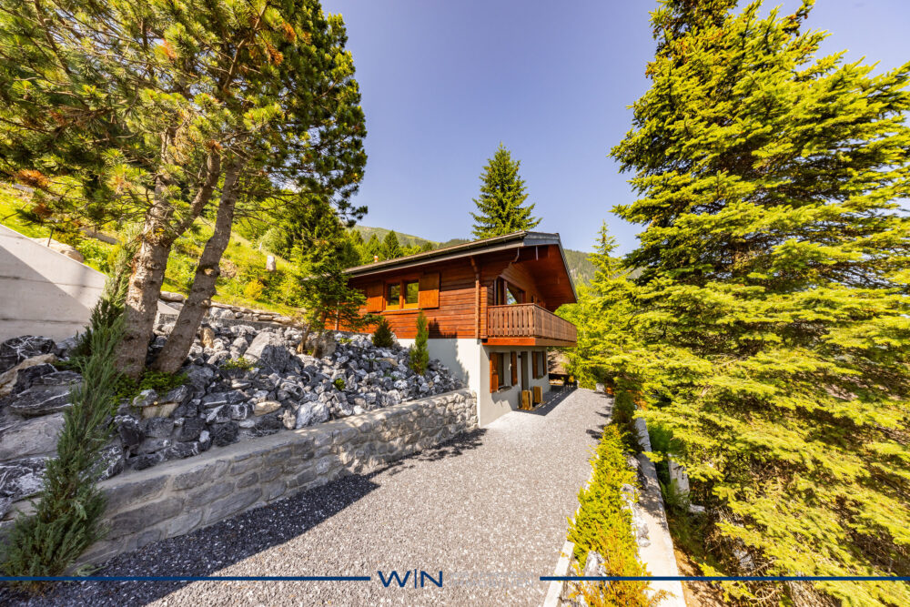 Into the wild - pflegeleicht