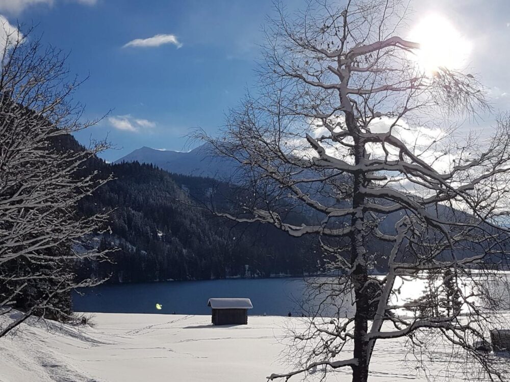 https://we-net.ch/wp-content/uploads/propstack/4675595/aussicht-winter.jpg