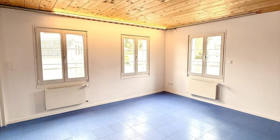 https://we-net.ch/wp-content/uploads/propstack/5420610/img_3558-924x462-1.jpeg