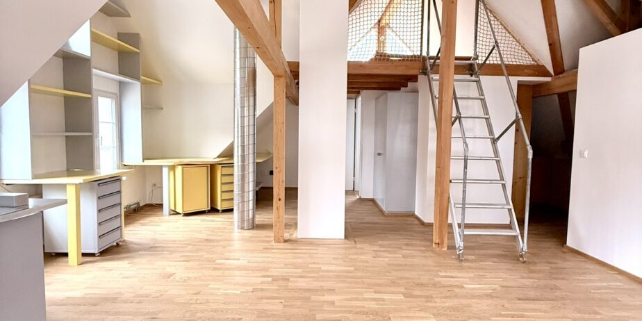 https://we-net.ch/wp-content/uploads/propstack/5420610/img_3583-924x462-1.jpeg