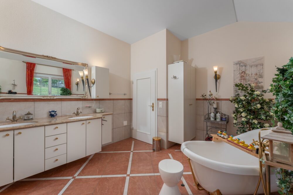 https://we-net.ch/wp-content/uploads/propstack/5481176/image-012.jpg