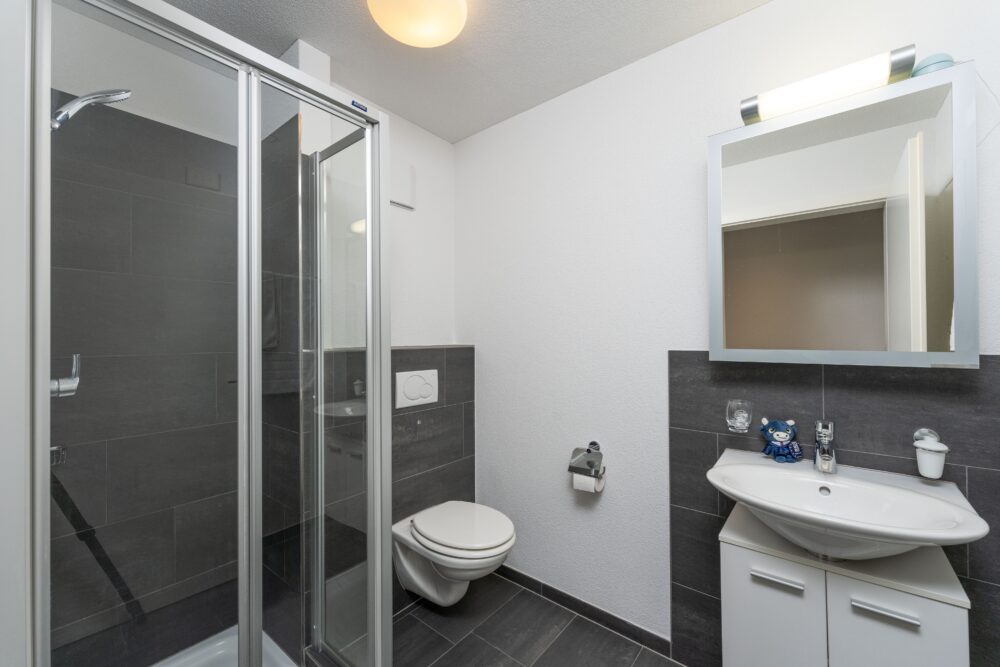 https://we-net.ch/wp-content/uploads/propstack/5488056/image-016.jpg
