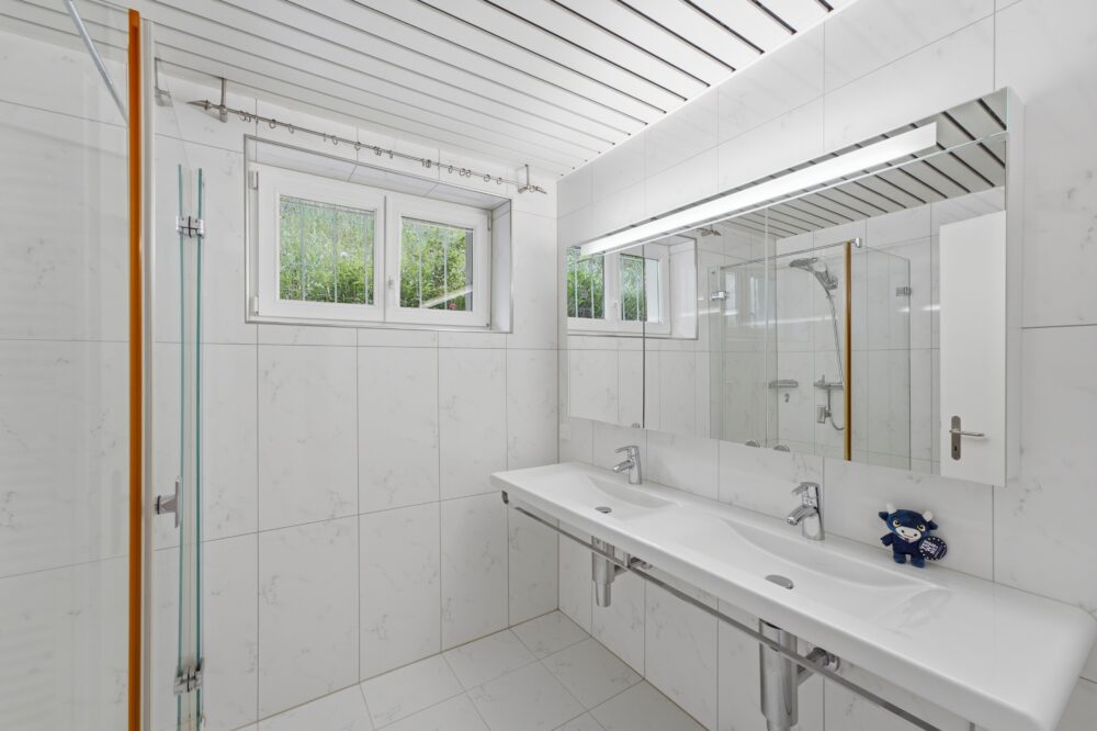 https://we-net.ch/wp-content/uploads/propstack/5497610/image-004.jpg