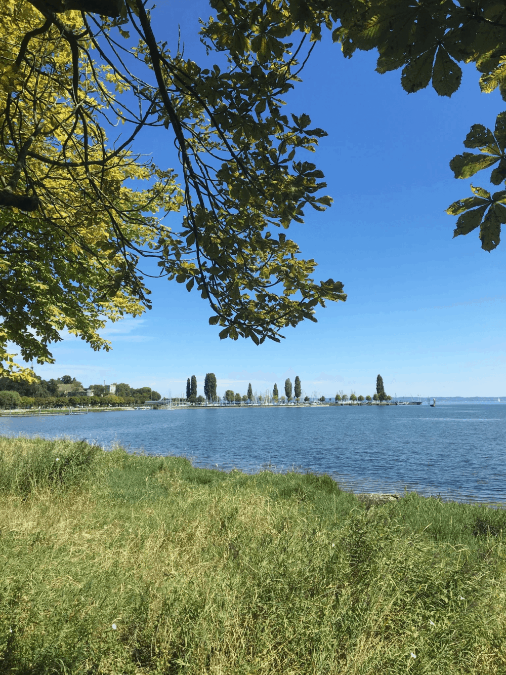 https://we-net.ch/wp-content/uploads/propstack/5579870/seeblick.png