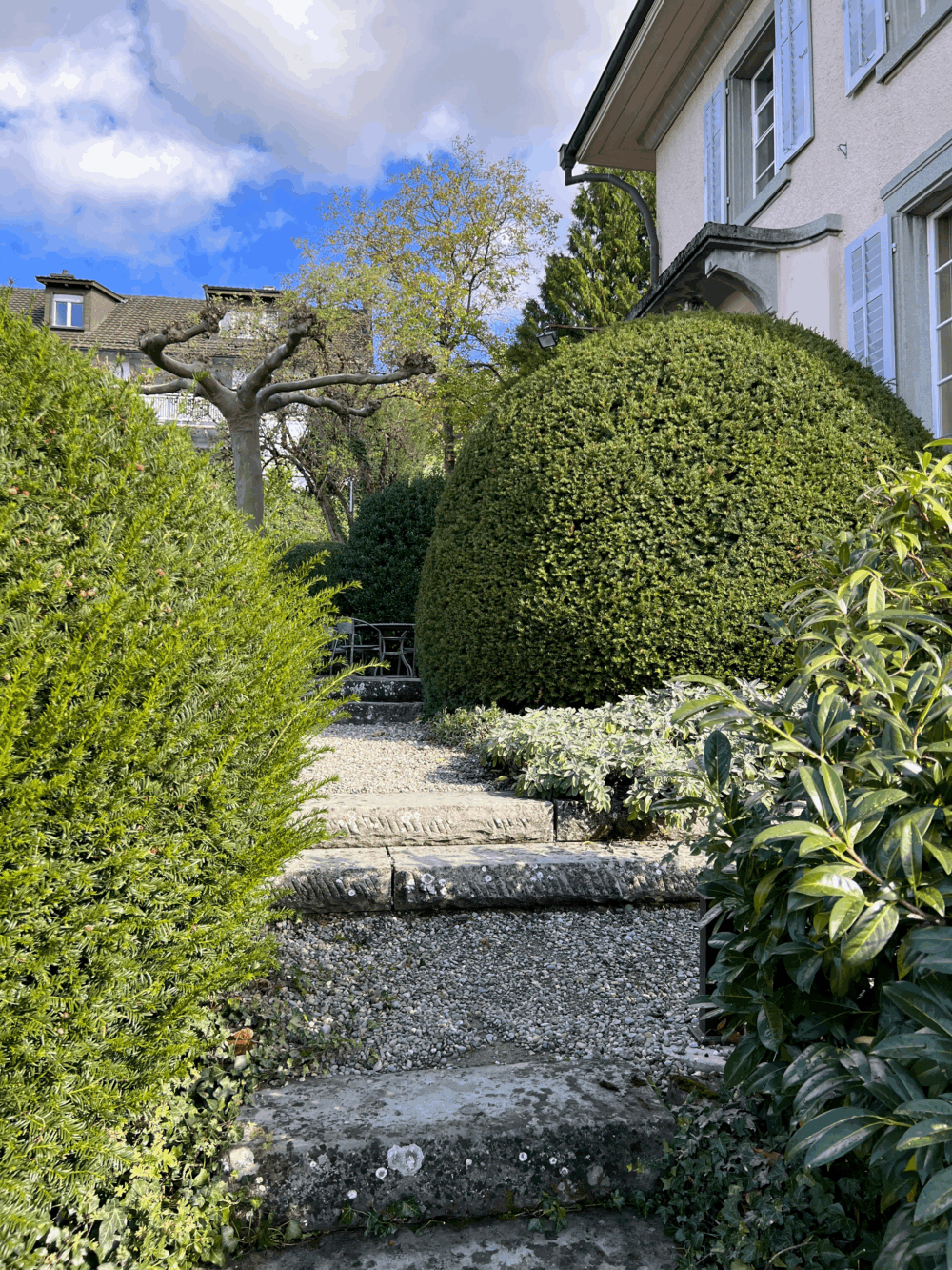 https://we-net.ch/wp-content/uploads/propstack/5609072/aufgang-von-ut-garage-115a.png