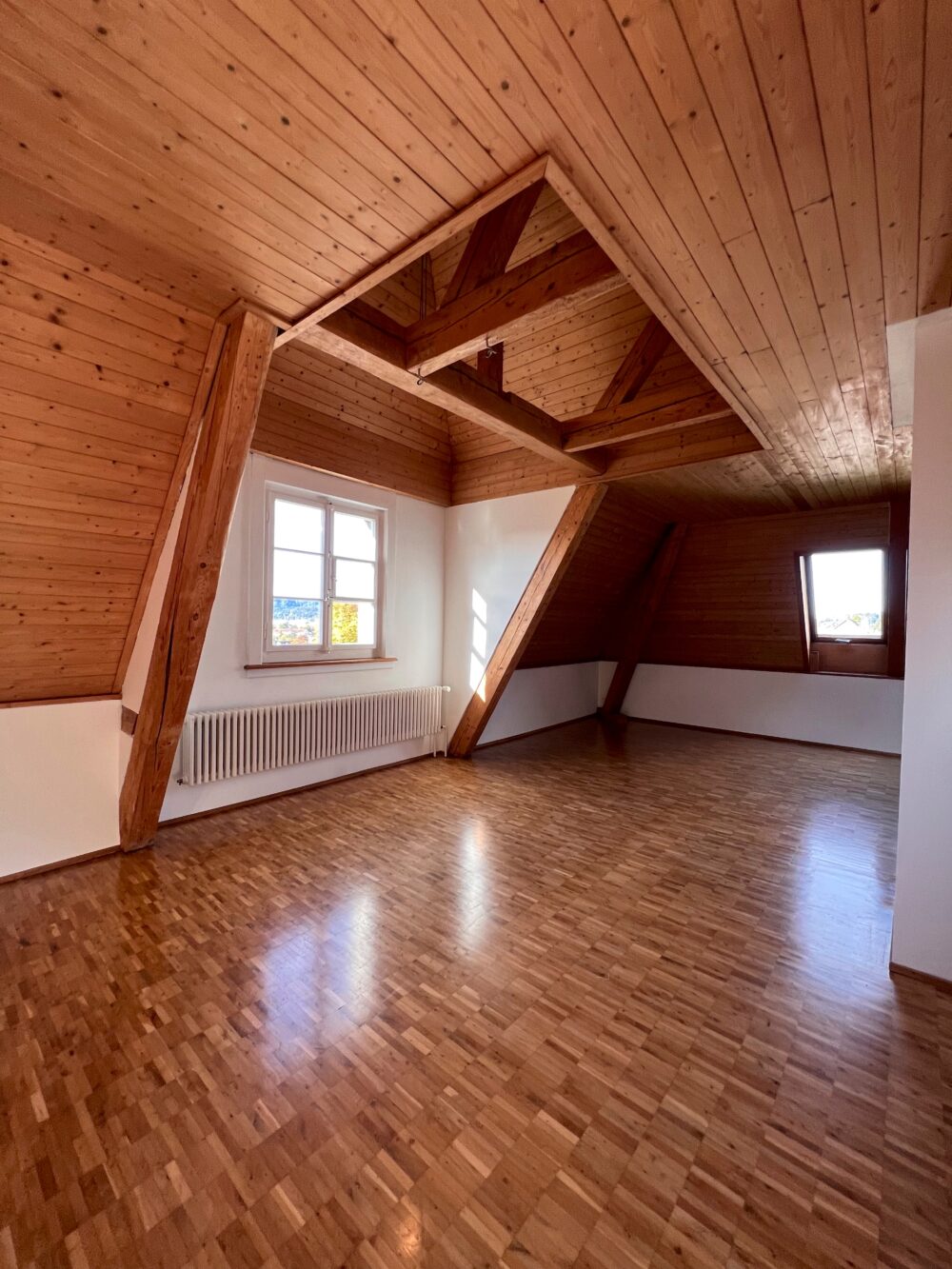 https://we-net.ch/wp-content/uploads/propstack/5609072/dachstock-115-.jpg
