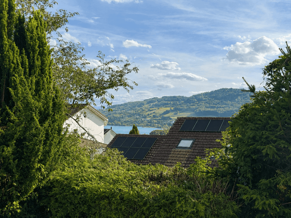 https://we-net.ch/wp-content/uploads/propstack/5765372/6b980abf-2bdd-4784-8050-1b4c9b8337a1.png