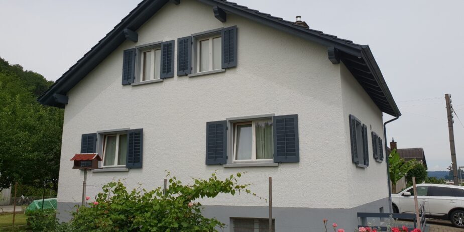 https://we-net.ch/wp-content/uploads/propstack/5777925/1-1-924x462-1.jpeg