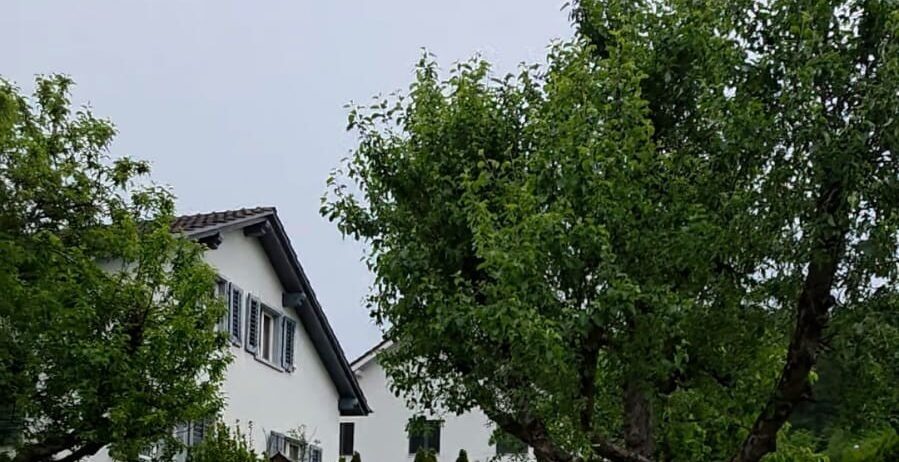 https://we-net.ch/wp-content/uploads/propstack/5777925/11-899x462-1.jpeg