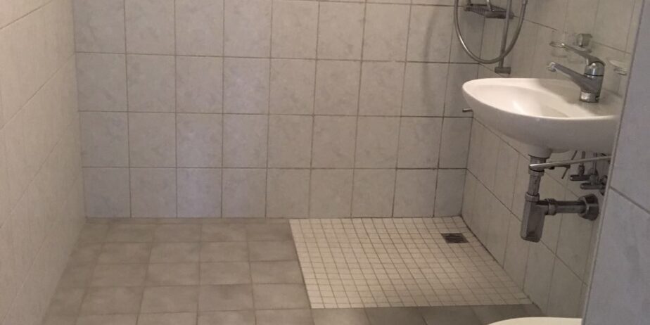 https://we-net.ch/wp-content/uploads/propstack/5799097/img_3712-1-924x462-1.jpeg