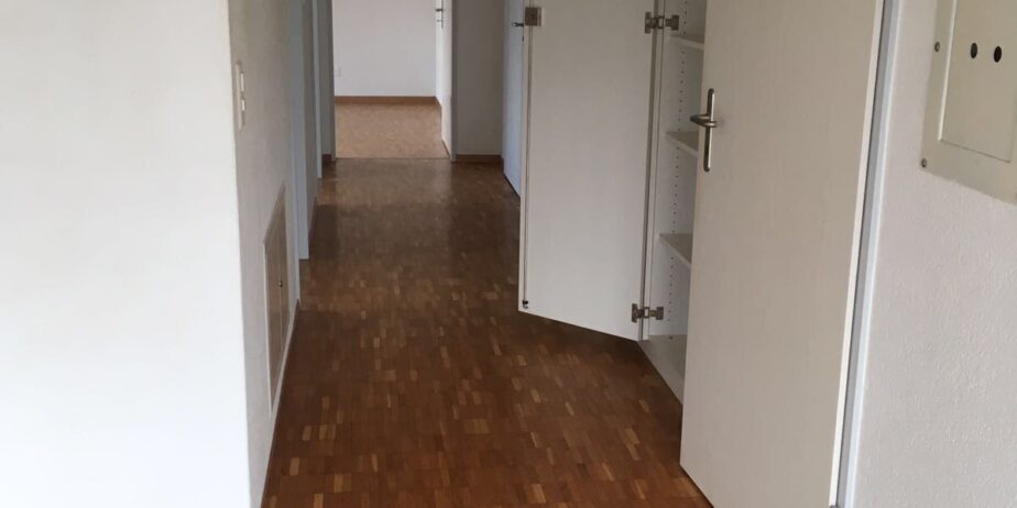 https://we-net.ch/wp-content/uploads/propstack/5799097/img_3733-1-924x462-1.jpeg