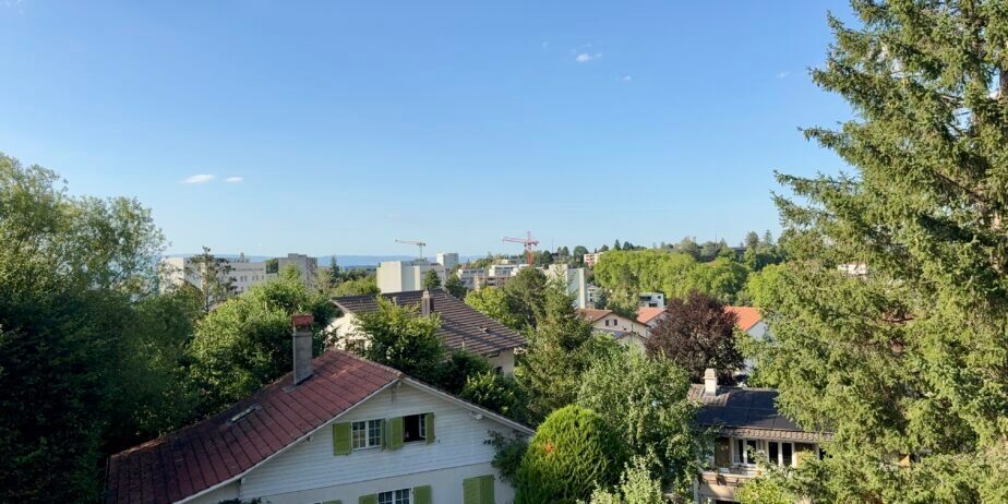 https://we-net.ch/wp-content/uploads/propstack/5803961/img_8883-924x462-1.jpeg