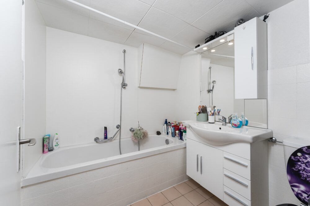 https://we-net.ch/wp-content/uploads/propstack/5805399/image-050.jpg
