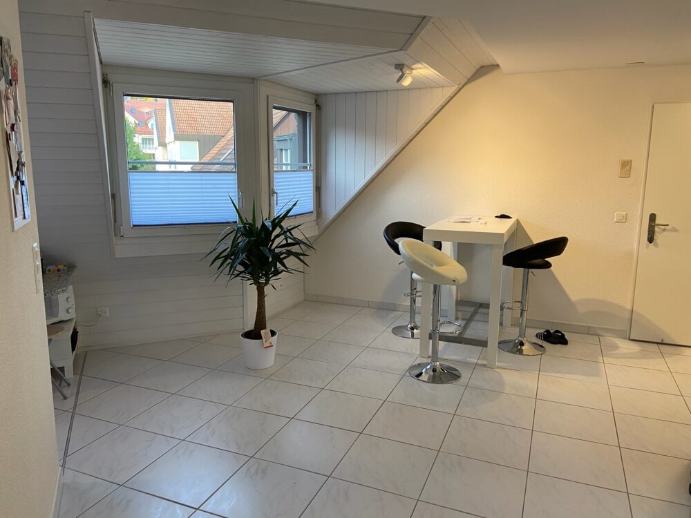 https://we-net.ch/wp-content/uploads/propstack/5821233/20201009_155614643_ios.jpg