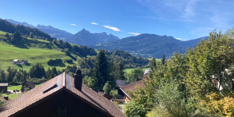 https://we-net.ch/wp-content/uploads/propstack/6277294/12-2-924x462-1.jpeg