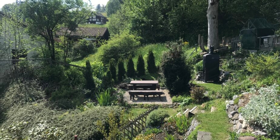 https://we-net.ch/wp-content/uploads/propstack/6277294/13-1-924x462-1.jpeg