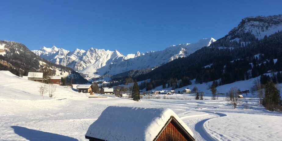 https://we-net.ch/wp-content/uploads/propstack/6277294/16-1-924x462-1.jpeg
