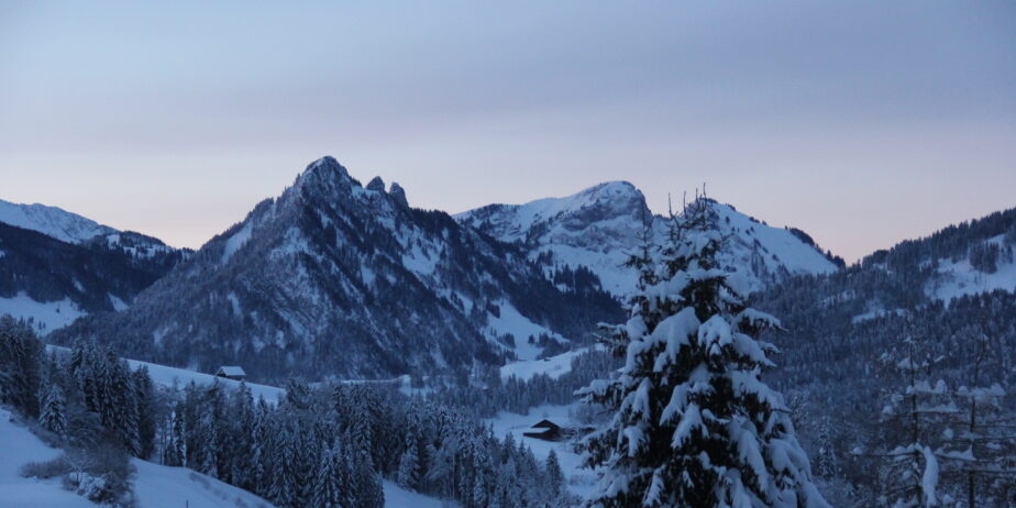 https://we-net.ch/wp-content/uploads/propstack/6277294/19-1-924x462-1.jpeg